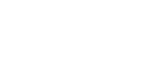 spinner